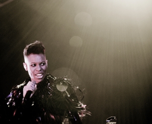 AMSTERDAM-ZIGGO DOME-SKUNK ANANSIE